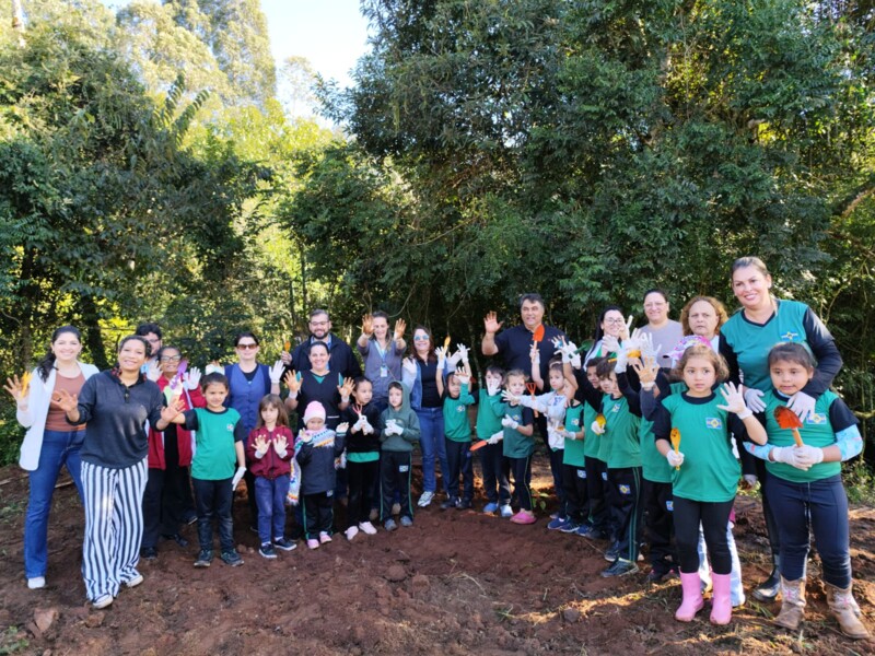 junho-verde-educacao-e-sustentabilidade-caminhando-juntas